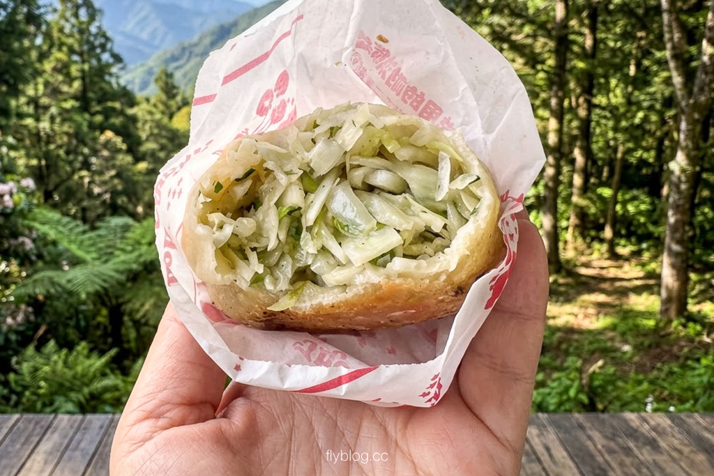 台中北屯｜超普通水煎包．大坑九號步道半山腰，假日限定排隊美食 @飛天璇的口袋