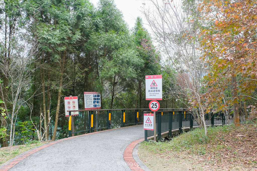 【日月潭自行車道】CNN認證最美！水社到向山段6公里，騎乘樂趣與秘境月牙灣全攻略 @飛天璇的口袋