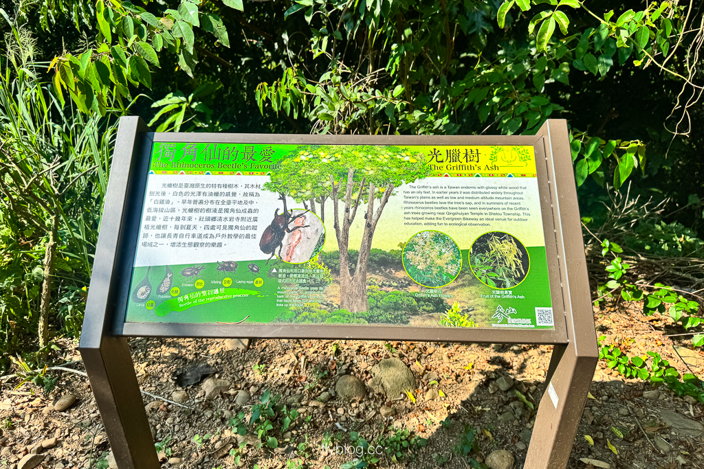 彰化社頭｜七千一長青步道．橫山海拔443公尺，八卦山脈的最高峰，台灣小百岳編號48號 @飛天璇的口袋