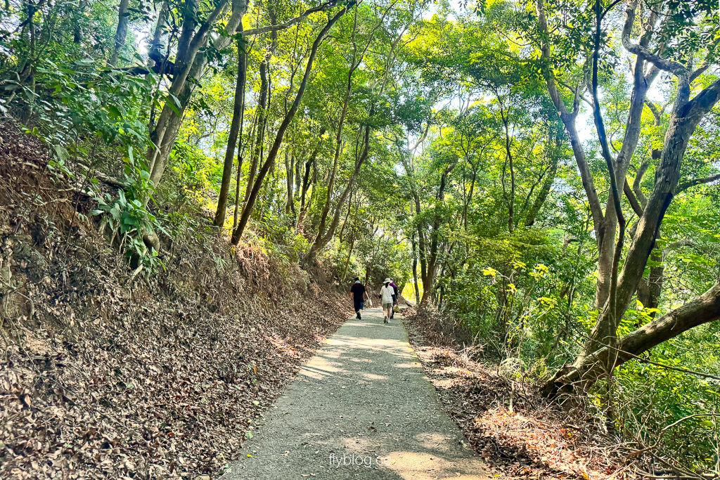 彰化社頭｜七千一長青步道．橫山海拔443公尺，八卦山脈的最高峰，台灣小百岳編號48號 @飛天璇的口袋