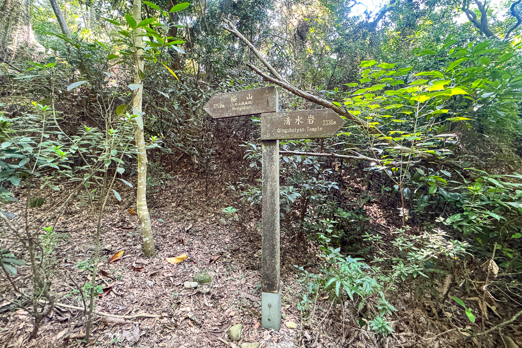 彰化社頭｜七千一長青步道．橫山海拔443公尺，八卦山脈的最高峰，台灣小百岳編號48號 @飛天璇的口袋