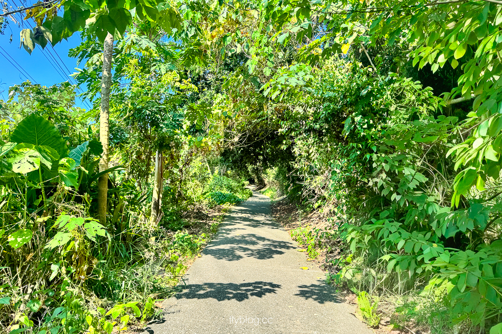 彰化社頭｜七千一長青步道．橫山海拔443公尺，八卦山脈的最高峰，台灣小百岳編號48號 @飛天璇的口袋