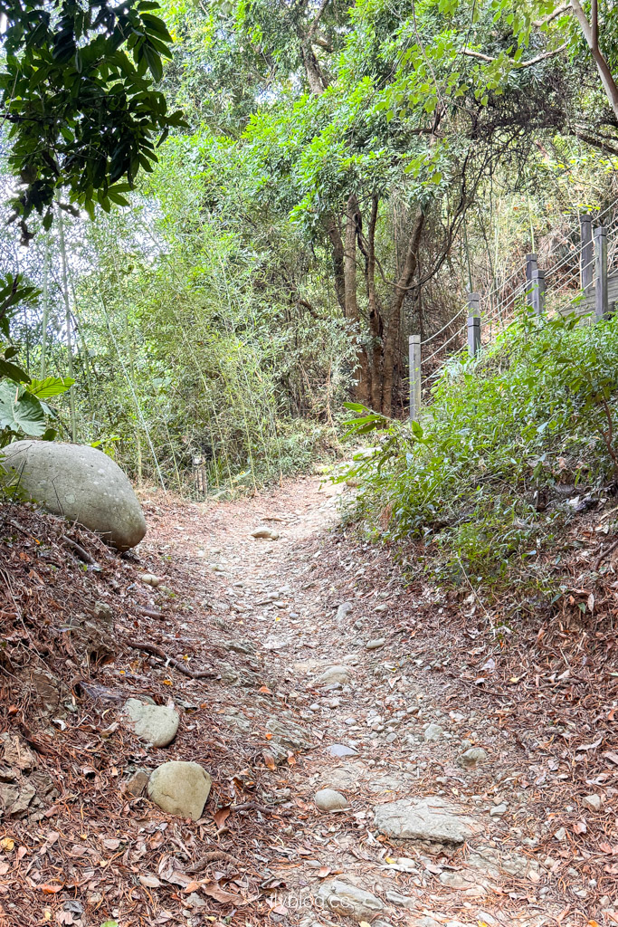 台中豐原｜蜈蚣崎登山步道：690m緩坡卵石步道、林蔭小徑，親子健行首選 (附停車廁所資訊) @飛天璇的口袋