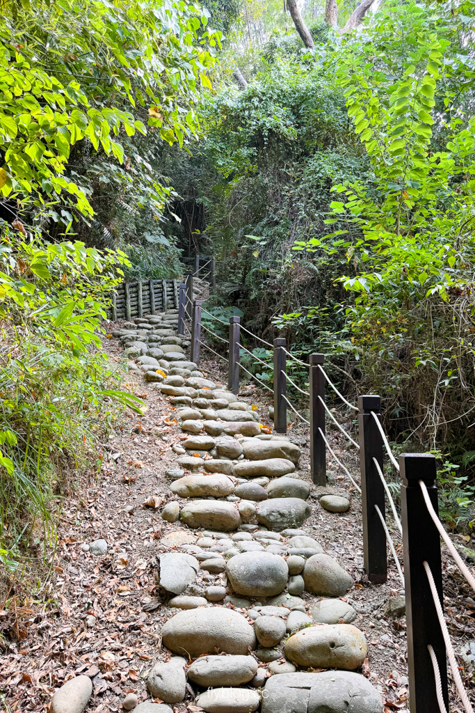 台中豐原｜蜈蚣崎登山步道：690m緩坡卵石步道、林蔭小徑，親子健行首選 (附停車廁所資訊) @飛天璇的口袋