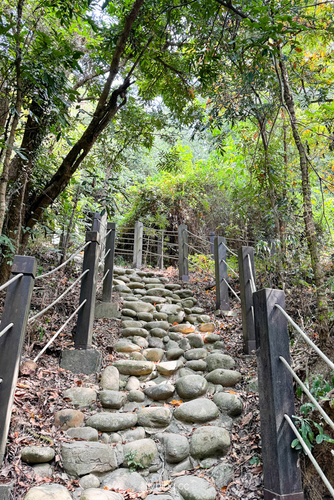 台中豐原｜蜈蚣崎登山步道：690m緩坡卵石步道、林蔭小徑，親子健行首選 (附停車廁所資訊) @飛天璇的口袋