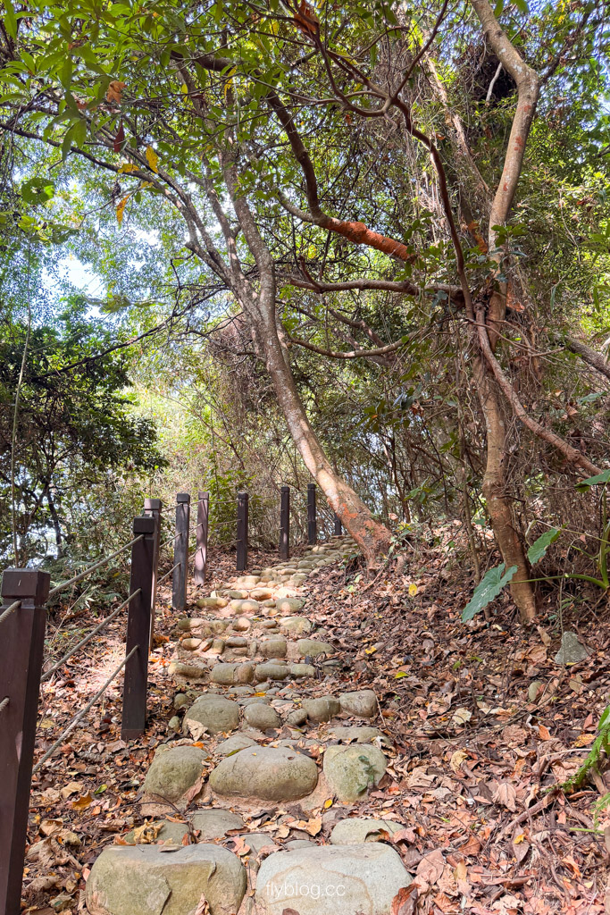 台中豐原｜蜈蚣崎登山步道：690m緩坡卵石步道、林蔭小徑，親子健行首選 (附停車廁所資訊) @飛天璇的口袋