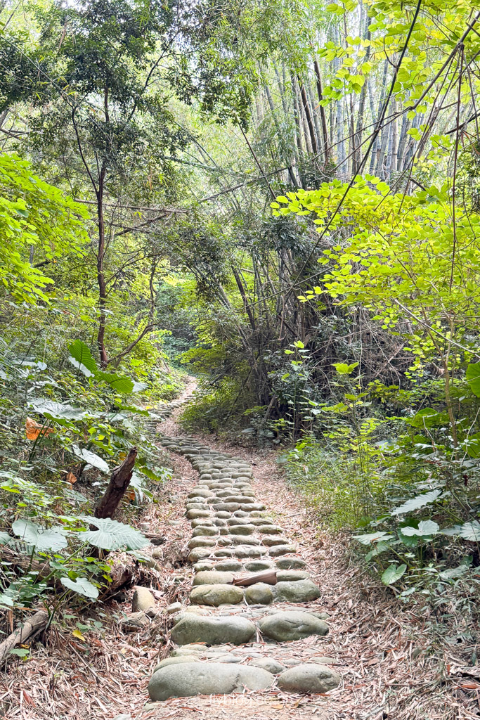 台中豐原｜蜈蚣崎登山步道：690m緩坡卵石步道、林蔭小徑，親子健行首選 (附停車廁所資訊) @飛天璇的口袋