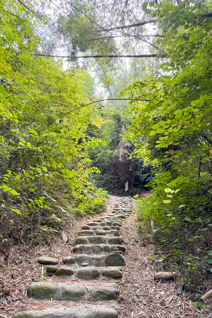 台中豐原｜蜈蚣崎登山步道：690m緩坡卵石步道、林蔭小徑，親子健行首選 (附停車廁所資訊) @飛天璇的口袋