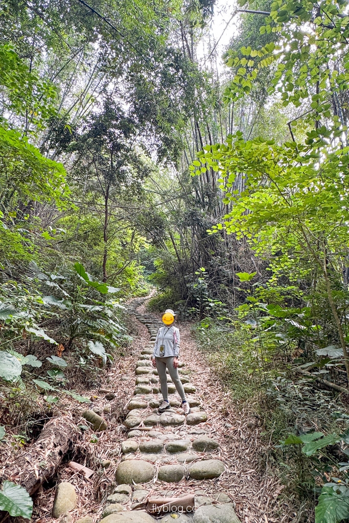台中豐原｜蜈蚣崎登山步道：690m緩坡卵石步道、林蔭小徑，親子健行首選 (附停車廁所資訊) @飛天璇的口袋