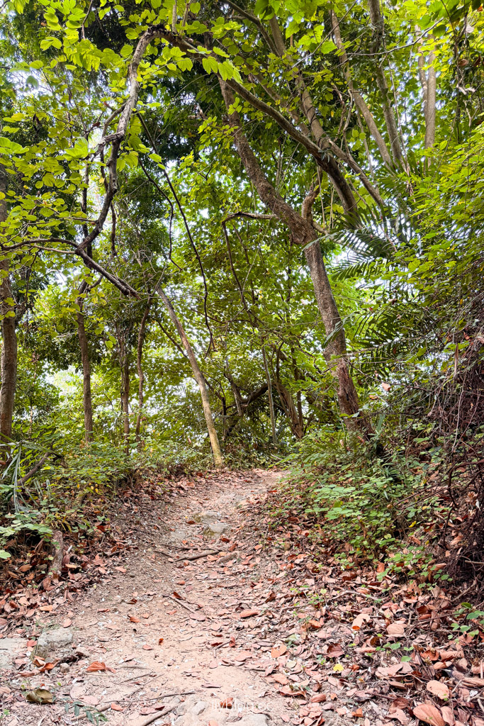 台中豐原｜蜈蚣崎登山步道：690m緩坡卵石步道、林蔭小徑，親子健行首選 (附停車廁所資訊) @飛天璇的口袋