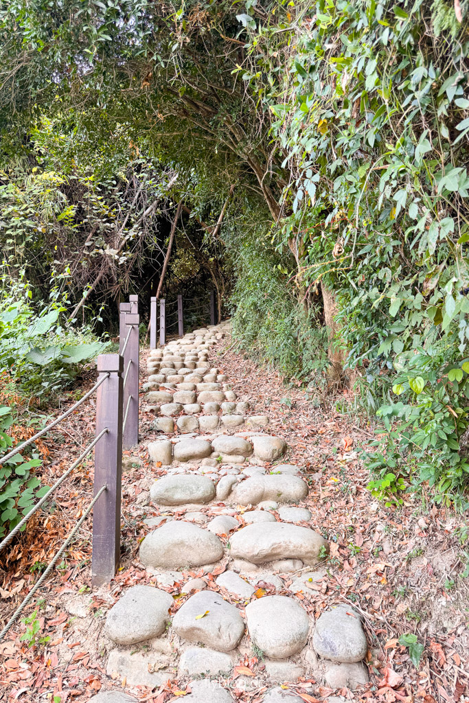 台中豐原｜蜈蚣崎登山步道：690m緩坡卵石步道、林蔭小徑，親子健行首選 (附停車廁所資訊) @飛天璇的口袋