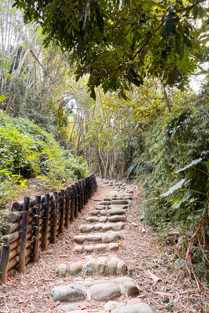 台中豐原｜蜈蚣崎登山步道：690m緩坡卵石步道、林蔭小徑，親子健行首選 (附停車廁所資訊) @飛天璇的口袋