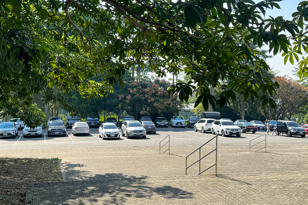 彰化員林|藤山步道.全台最熱鬧的綠意秘境,邊走邊玩、賞花吃美食! @飛天璇的口袋 彰化員林|藤山步道.全台最熱鬧的綠意秘境,邊走邊玩、賞花吃美食! @飛天璇的口袋