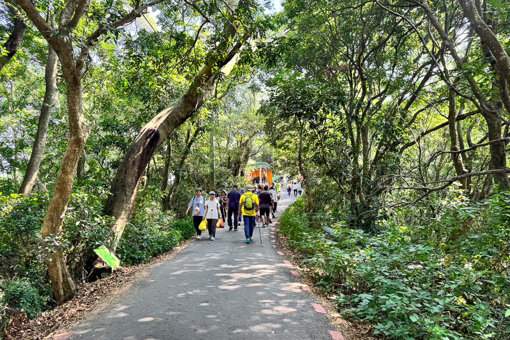 彰化員林｜藤山步道．全台最熱鬧的綠意秘境，邊走邊玩、賞花吃美食！ @飛天璇的口袋
