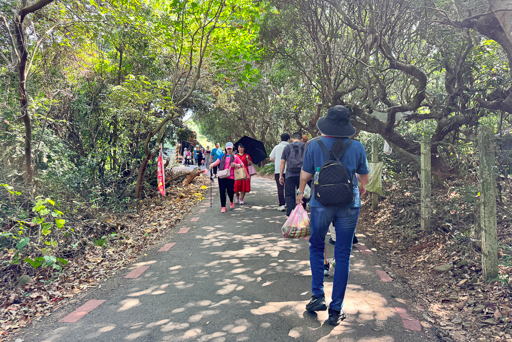 彰化員林｜藤山步道．全台最熱鬧的綠意秘境，邊走邊玩、賞花吃美食！ @飛天璇的口袋