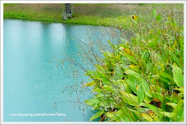 【花蓮旅遊景點】雲山水生態農莊。美如仙境的夢幻湖，後山的世外桃源 @飛天璇的口袋