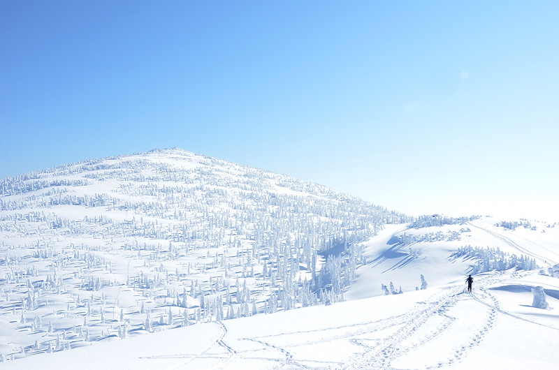 日本東北┃秋田旅遊景點：森吉山阿仁滑雪場，一年四季有不同的美景，分享2017年秋天美景和交通方式 @飛天璇的口袋