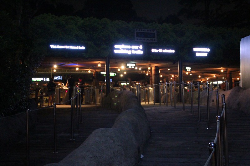 新加坡夜間動物園┃新加坡景點：全球唯一夜間導覽動物園，Night Safari夜間動物園的交通方式和遊園心得 @飛天璇的口袋