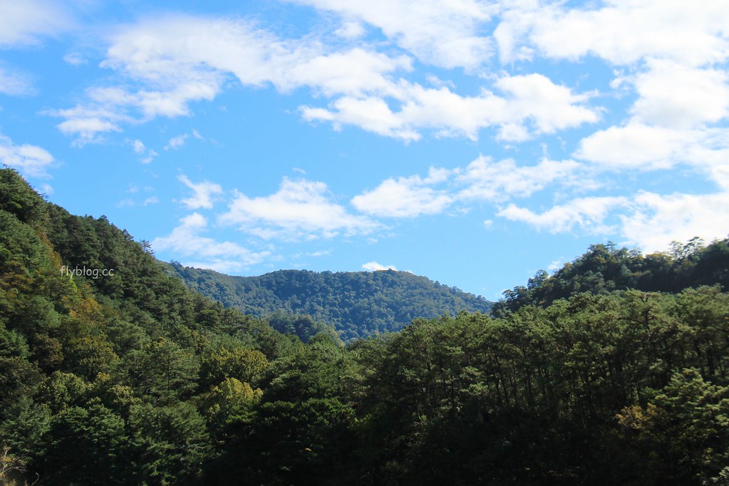 【南投仁愛】奧萬大一日遊，台灣最美的賞楓盛地，體驗最豐富的生態資源，分享12/11最新楓況 @飛天璇的口袋