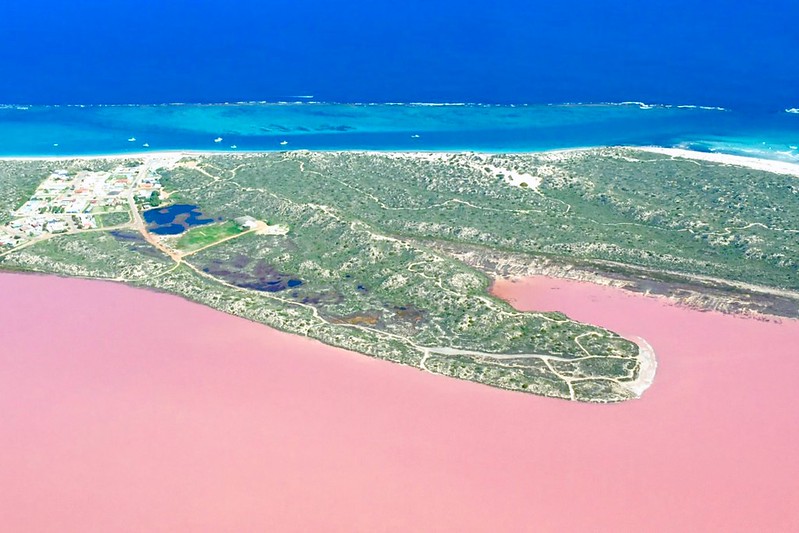 澳洲珀斯｜Hutt Lagoon 粉紅湖，西澳特別的自然景觀，上帝遺落小玫瑰，IG打卡熱門景點 @飛天璇的口袋