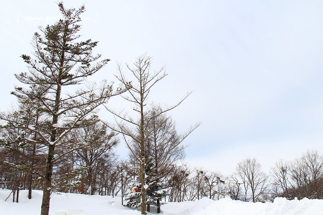 南會津樹冰＆霧冰山頂之旅┃福島旅遊景點：奧會津搭乘雪車賞樹冰、晨霧和初曉，零下十度令人嘆為觀止的美景 @飛天璇的口袋