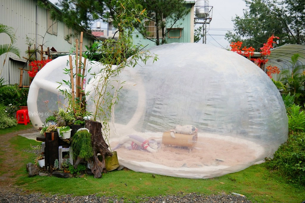 多肉秘境：可愛又療癒的泡泡屋，還有6米大藍色地球，埔里IG打卡熱門旅遊景點 @飛天璇的口袋