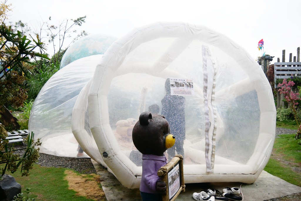 多肉秘境：可愛又療癒的泡泡屋，還有6米大藍色地球，埔里IG打卡熱門旅遊景點 @飛天璇的口袋