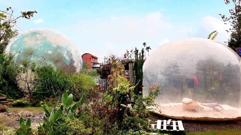 多肉秘境｜可愛又療癒的泡泡屋，還有6米大藍色地球，埔里IG打卡熱門旅遊景點 @飛天璇的口袋