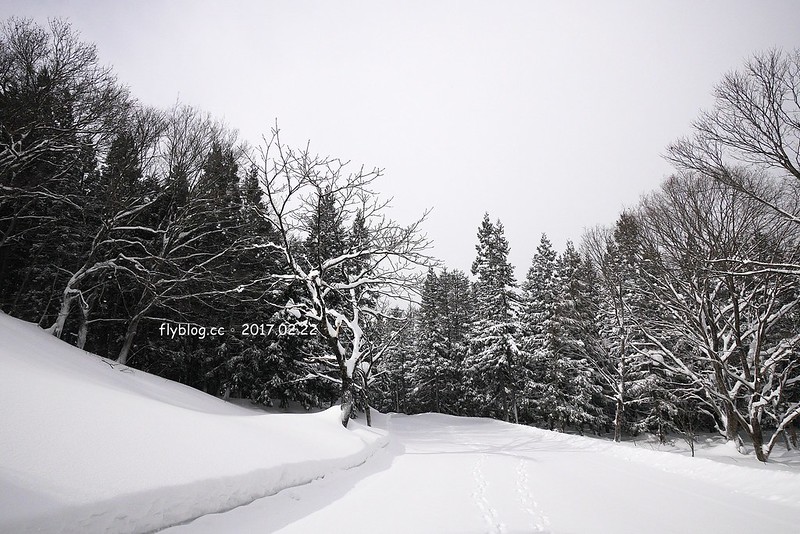 Fairy Land金山滑雪場┃福島旅遊景點：搭乘雪地纜車體驗，還有初階版的雪上甜甜圈、雪鞦和雪盆…等，冬季到奧會津就是要滑雪 @飛天璇的口袋