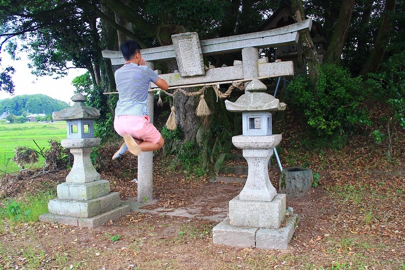 鳥取龍貓森林(小原神社)：位於南方町的秘境，仿佛走進龍貓電影中的森林 @飛天璇的口袋