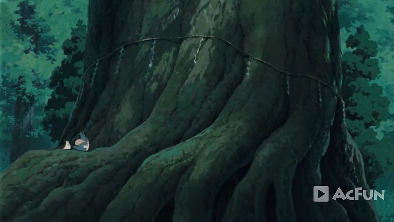 鳥取龍貓森林(小原神社)：位於南方町的秘境，仿佛走進龍貓電影中的森林 @飛天璇的口袋
