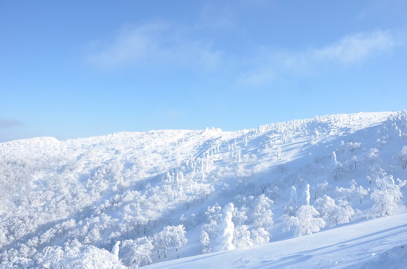 日本秋田｜森吉山阿仁滑雪場．一年四季有不同的美景，秋天楓紅盛況和交通方式 @飛天璇的口袋