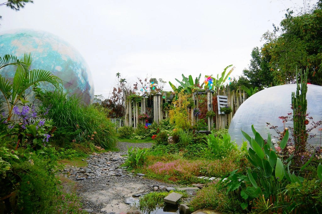多肉秘境｜可愛又療癒的泡泡屋，還有6米大藍色地球，埔里IG打卡熱門旅遊景點 @飛天璇的口袋