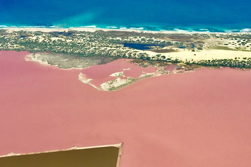 Hutt Lagoon．粉紅湖┃西澳景點：西澳特別的自然景觀，上帝遺落小玫瑰，IG打卡熱門景點 @飛天璇的口袋