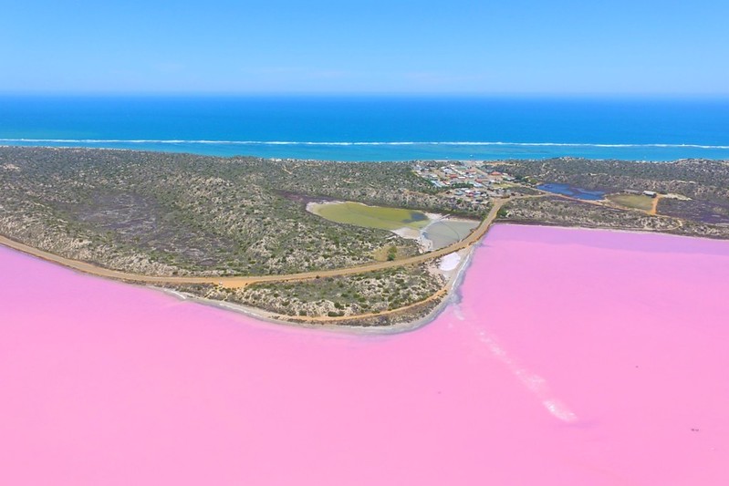 Hutt Lagoon．粉紅湖┃西澳景點：西澳特別的自然景觀，上帝遺落小玫瑰，IG打卡熱門景點 @飛天璇的口袋