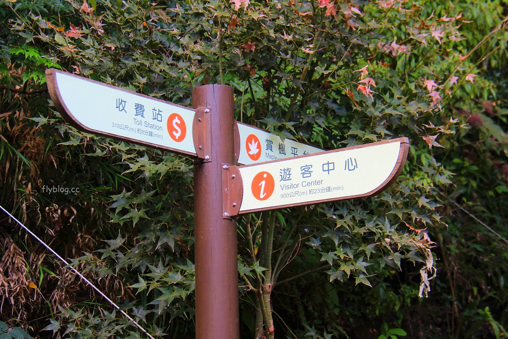 【南投仁愛】奧萬大一日遊，台灣最美的賞楓盛地，體驗最豐富的生態資源，分享12/11最新楓況 @飛天璇的口袋