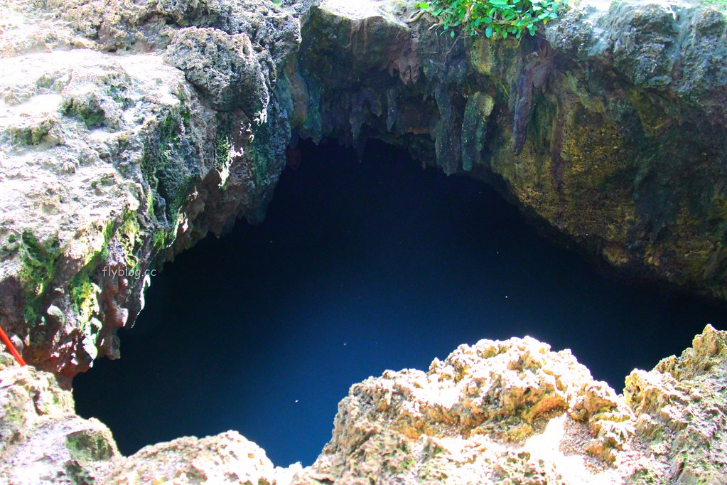 薄荷島景點：清涼消暑湛藍海水的神秘洞穴Cabagnow Cave Pool，細白如雪清澈見底的美麗沙灘Quinale Beach @飛天璇的口袋