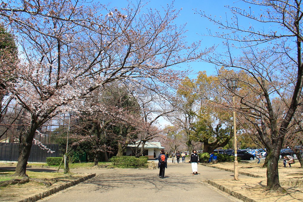 日本兵庫｜姬路城，日本第一大名城，雪白外觀又稱白鷺城(含交通方式、美食推薦、拍照地點) @飛天璇的口袋