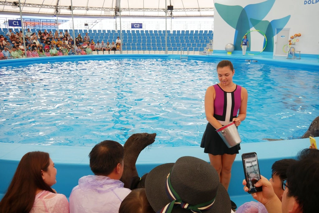 泰國芭達雅｜Pattaya Dolphinarium 芭達雅海豚之家，亞洲最棒的海豚表現，泰國芭達雅最夯親子景點 @飛天璇的口袋