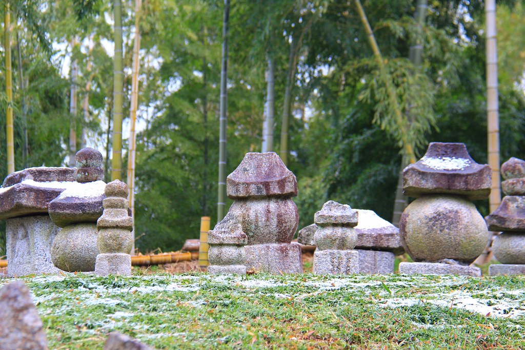 竹之徑(竹林公園)：日本500條最美的步道，不用到嵐山人擠人，幽靜又療癒的京都旅遊景點 @飛天璇的口袋