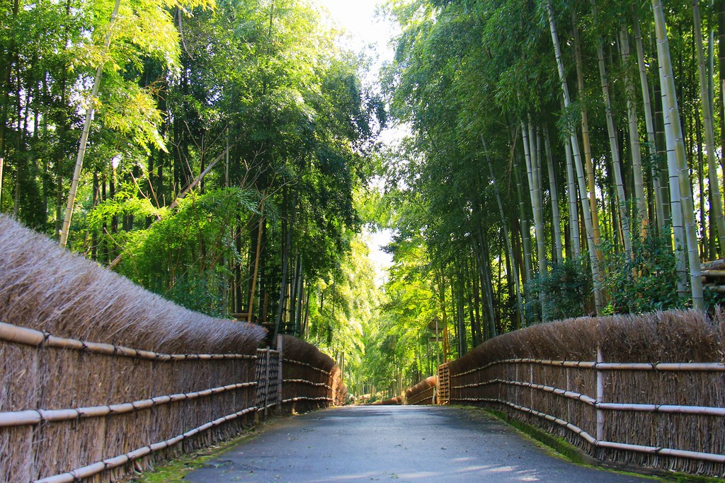 【日本京都】竹之徑(竹林公園)~日本500條最美的步道，不用到嵐山人擠人，幽靜又療癒的京都旅遊景點 @飛天璇的口袋