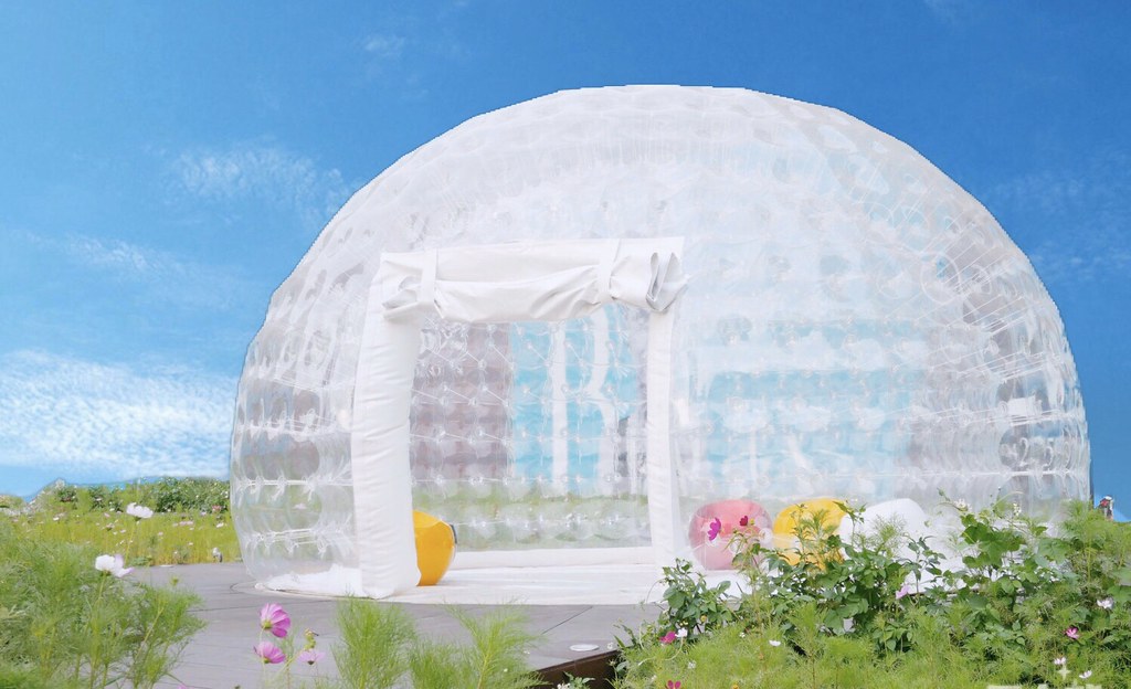 台中巨型泡泡屋：還有可愛的波斯菊花海~台中IG打卡免費景點！ @飛天璇的口袋