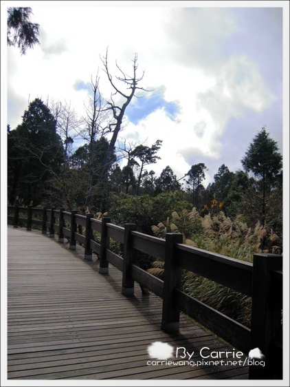 【宜蘭旅遊景點】太平山．翠峰湖+鳩之澤溫泉。此生必去的美景之一 @飛天璇的口袋