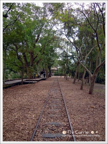 【宜蘭旅遊景點】羅東林業文化園區(羅東林場)。在市中心也可以做森林浴 @飛天璇的口袋