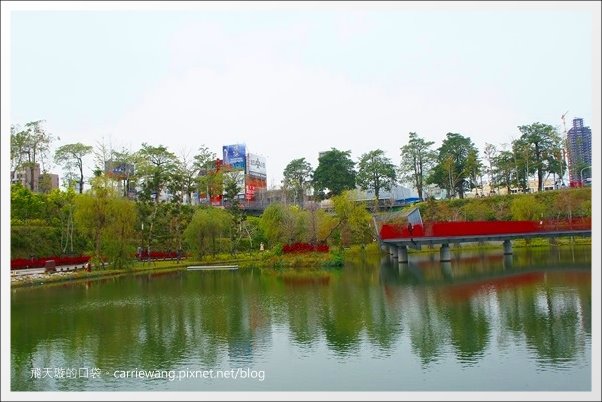 【台中西屯】秋紅谷生態公園：台中火紅新地標，美麗的約會聖地！ @飛天璇的口袋