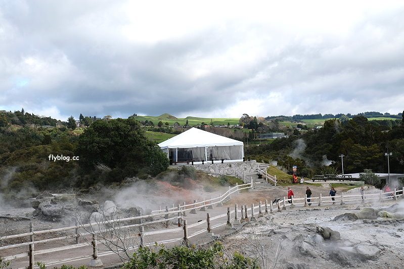 紐西蘭北島自由行┃Rotorua景點推薦：羅托魯阿蒂普亞毛利文化園區(Te Puia)體驗毛利文化與品嚐地熱溫泉料理 @飛天璇的口袋
