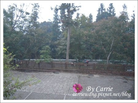 【南投旅遊】全台最美的森林國小．內湖國小 @飛天璇的口袋